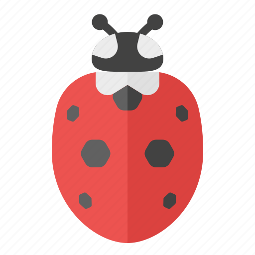 Spring, springtime, seasons, flowers, easter, insects, ladybugs icon - Download on Iconfinder