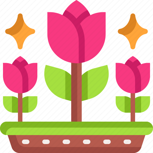 Rose, flower, bloom, decorative, beautiful icon - Download on Iconfinder