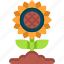 sunflower, flower, plant, leaf, springtime 