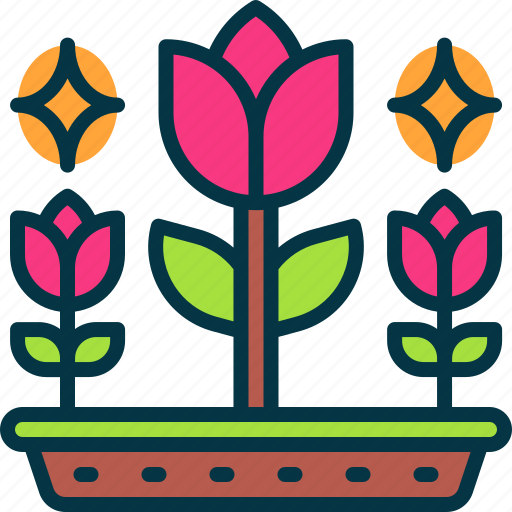 Rose, flower, bloom, decorative, beautiful icon - Download on Iconfinder