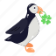 patrick bird, clover bird, cute bird, black bird, creature 