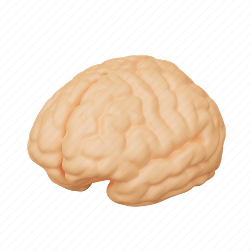 Brain, idea, creative, human, thinking, intelligence icon - Download on Iconfinder