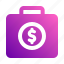 money, bag, briefcase, business, and, finance 