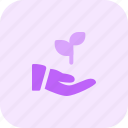 hand, plant, startup, business