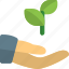 hand, plant, startup, business 