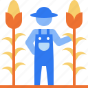 corn, corn filed, field, agriculture, farming, gardening, farm, garden, stick figure