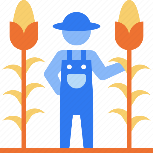Corn, corn filed, field, agriculture, farming, gardening, farm icon - Download on Iconfinder