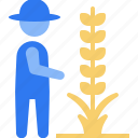 wheat, grain, field, agriculture, farming, gardening, farm, garden, stick figure