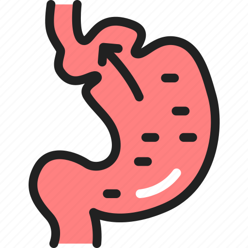 Stomach, disease, hiatal, hernia icon - Download on Iconfinder