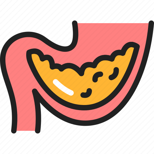 Stomach, disease, gastroparesis icon - Download on Iconfinder