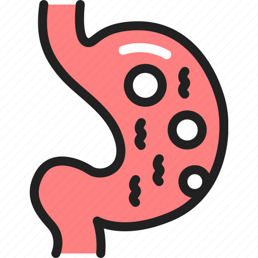 Stomach, flatulence, organ icon - Download on Iconfinder