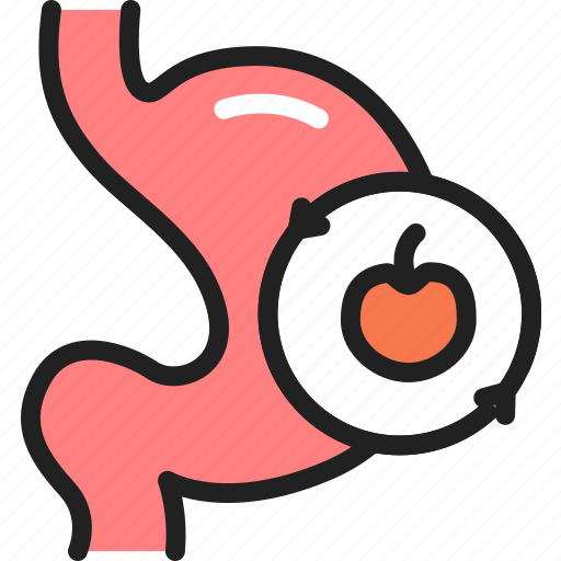 Stomach, digestion, food icon - Download on Iconfinder