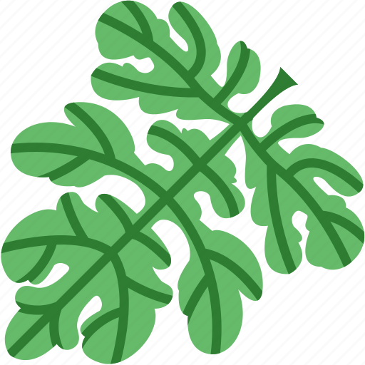 Green, leave, summer, watermelon icon - Download on Iconfinder