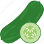 cucumber, food, summer, vegetable 
