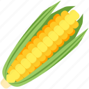 corn, food, summer, vegetable
