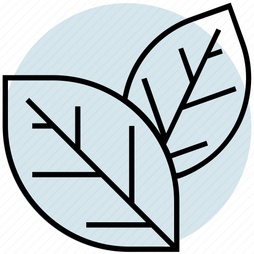 Forest, green, leaf, leaves, summer icon - Download on Iconfinder