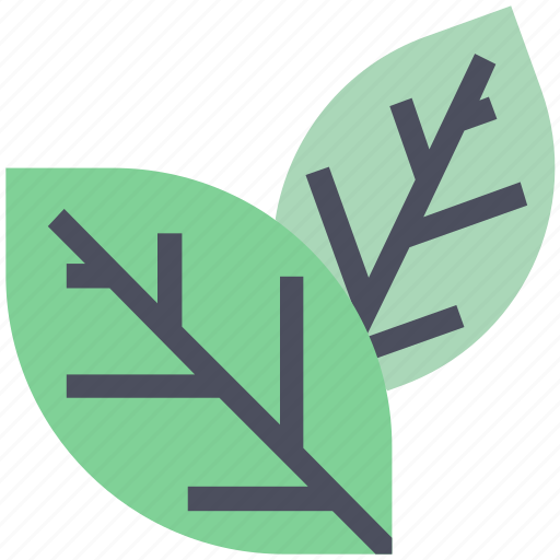 Forest, green, leaf, leaves, summer icon - Download on Iconfinder
