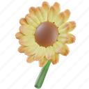 sun, flower, summer, floral, plant, sunflower 