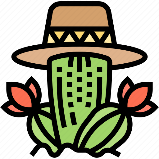 Cactus, plant, decoration, garden, nature icon - Download on Iconfinder
