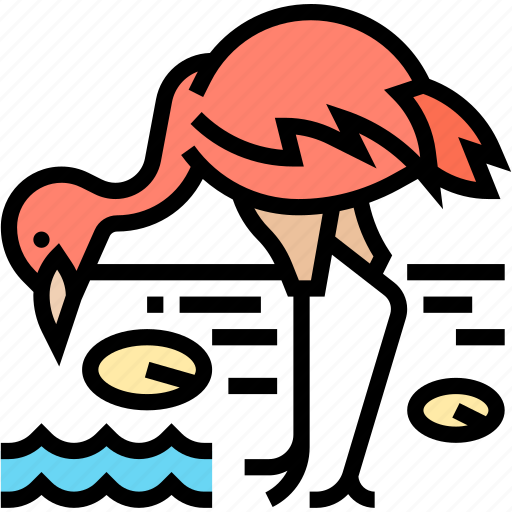 Flamingo, bird, animal, wildlife, tropical icon - Download on Iconfinder