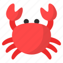 crab, crustacean, sea animal, seafood, beach, ocean, aquatic