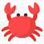 crab, crustacean, sea animal, seafood, beach, ocean, aquatic 
