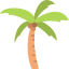 summer, palm tree, tropical, beach, coconut 