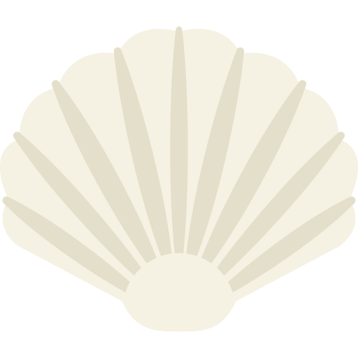 Summer, shell, beach, ocean, sea icon - Free download