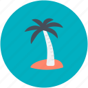 beach, coconut tree, date tree, palm, palm tree