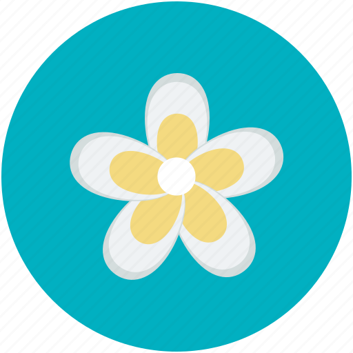 Beauty, daisy, daisy flower, flower, nature icon - Download on Iconfinder