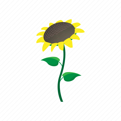 Cartoon, floral, flower, nature, plant, spring, sunflower icon - Download on Iconfinder