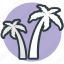 beach, coconut trees, date trees, island, palm, palm trees 