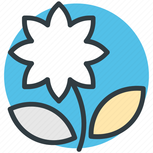 Bloom, blooming, blossom, flower, macro flower icon - Download on Iconfinder