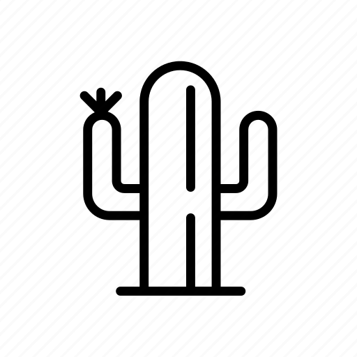 Cactus, floral, flower, garden, nature, plant, summer icon - Download on Iconfinder
