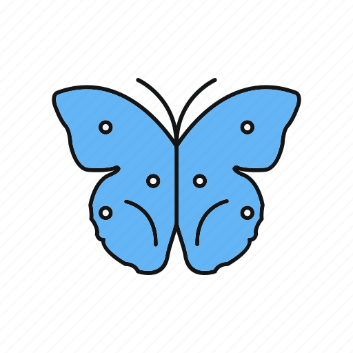 Beautiful, butterfly, summer icon - Download on Iconfinder