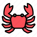 crab, animal, claw, summer, beach, summertime, ocean