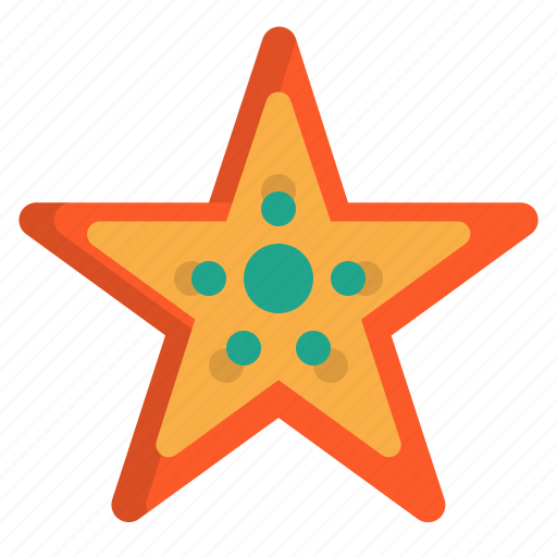Holidays, life, star, starfish icon - Download on Iconfinder