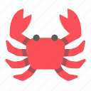 crab, animal, claw, summer, beach, summertime, ocean