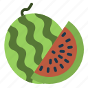 summer, watermelon, fruit, food, melon