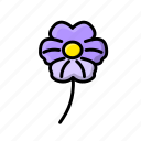 flower, flowers, pansy, purple