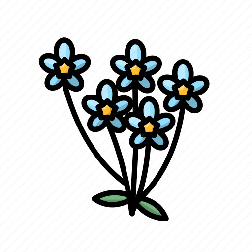 Flower, flowers, forget me not, plant icon - Download on Iconfinder