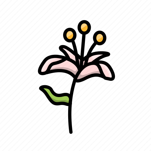 Flower, flowers, lilly, lotus icon - Download on Iconfinder