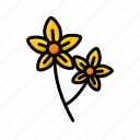 flower, flowers, marigold, yellow