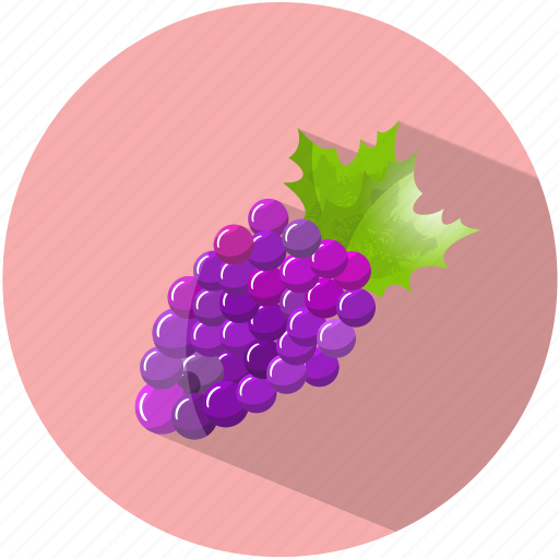 Grapes, dessert, food, tasty, vegetable, wine, purple icon - Download on Iconfinder