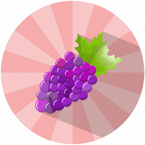Dessert, food, fruit, grapes, summer, tasty, wine icon - Download on Iconfinder