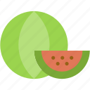watermelon, fruit, nutrition, organic, vegan