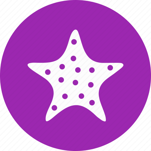 Fish, sea fish, star, star fish icon - Download on Iconfinder