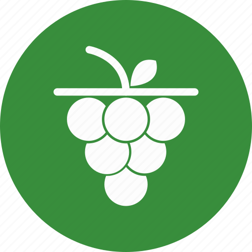 Fruit, grape, grapes, wine icon - Download on Iconfinder