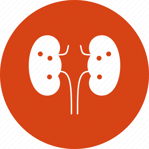 Blood, body, lungs, medical, part icon - Download on Iconfinder