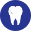 dental, dentist, tooth 